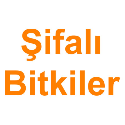 Şifalı Bitkiler kategorisi ürünlerini inceleyin!