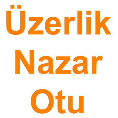 Üzerlik Otu Nazar Otu Üzerlik Tohumu kategorisi ürünlerini inceleyin!