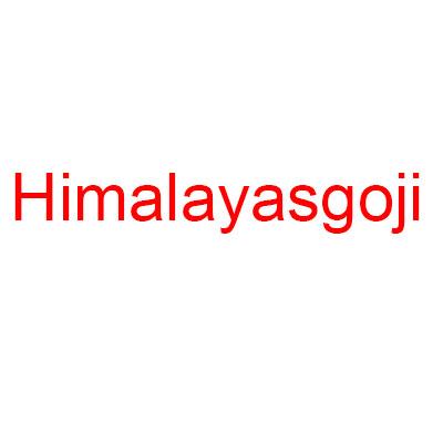 HİMALAYASGOJİ