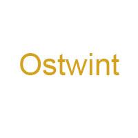 OSTWİNT