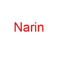 NARİN