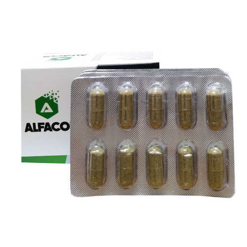 Alfacol Chia Tohumlu 60 Kapsül - Food Supplement