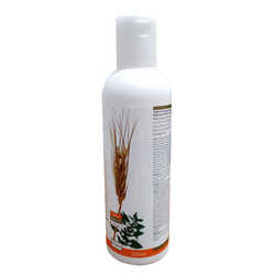 Buğday Özlü Saç Kremi 500 ML - Thumbnail