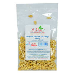 LokmanAVM - Dolmalık Helvalık Yer Fıstığı 100 Gr Paket (1)