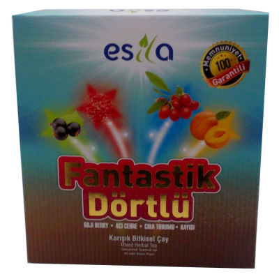 Esila Fantastik Dörtlü Bitkisel Yaz Çayı 45 Süzen Poşet