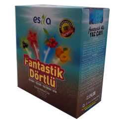 Esila - Fantastik Dörtlü Bitkisel Yaz Çayı 45 Süzen Poşet Görseli