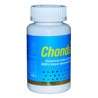 Chondurax Glucosamine Chondroitin MSM 90 Tablet