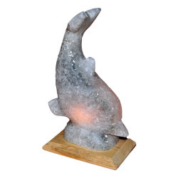 Yunus Balığı Şekilli Doğal Kaya Tuzu Lambası Çankırı Kablolu Ampullü Beyaz 2-3 Kg - Thumbnail